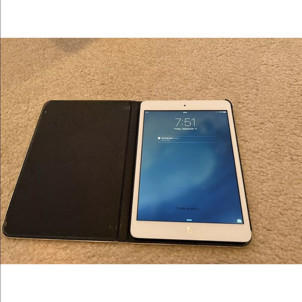 Used Apple iPad Mini WiFi MD531LL/A Silver 16GB Tablet Reader